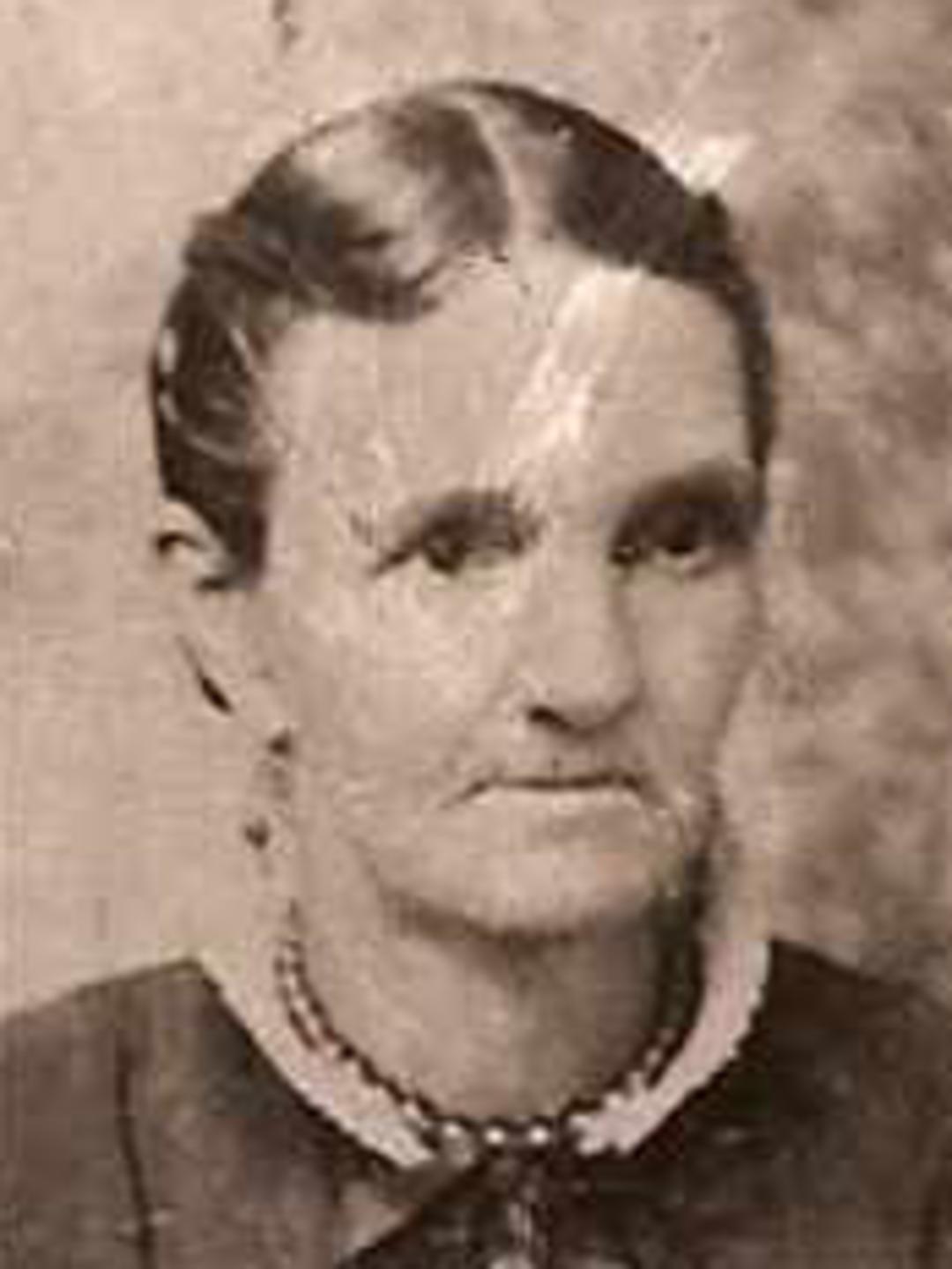 Mary Adeline Ewing (1833 - 1913) Profile